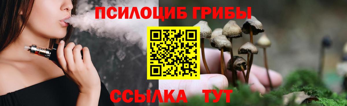 Галлюциногенные грибы мицелий  Вход с VPN  Чернушка  Псилоцибиновые грибы Psilocybe 